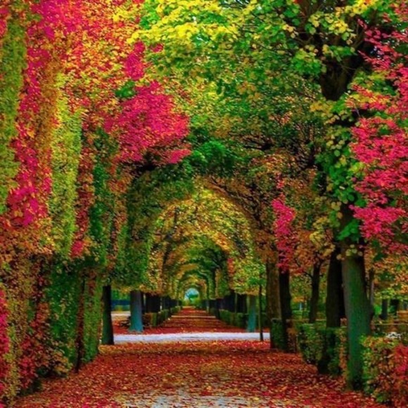 Meet your Posher, Yana - Picture 1 of 1